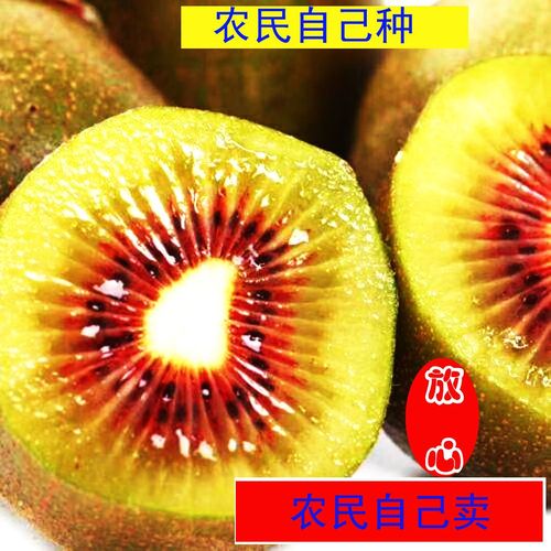 贵州六盘水水城猴场红心猕猴桃 黔地珍果，甜蜜沁心