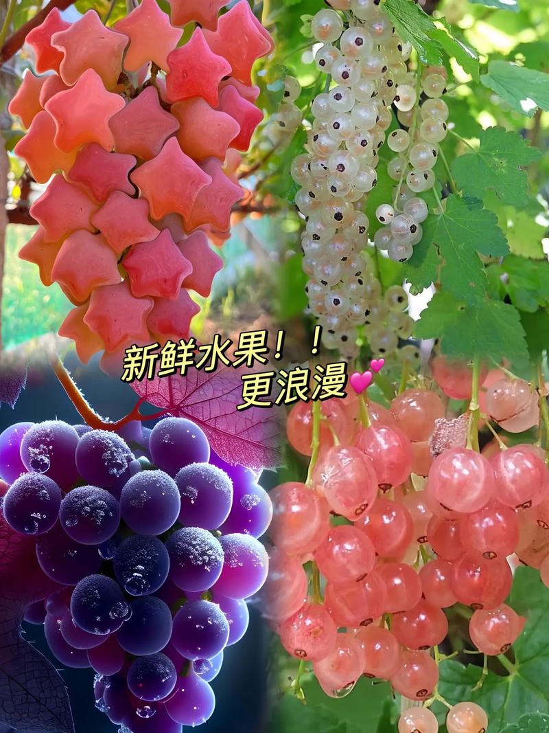 新鲜水果更浪漫